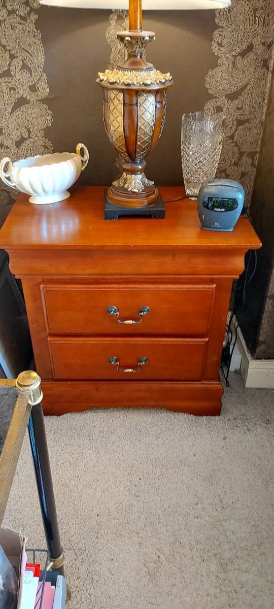 The Louis-Phillippe Mahogany Nightstand - Image 2