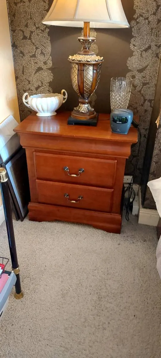 The Louis-Phillippe Mahogany Nightstand - Image 4