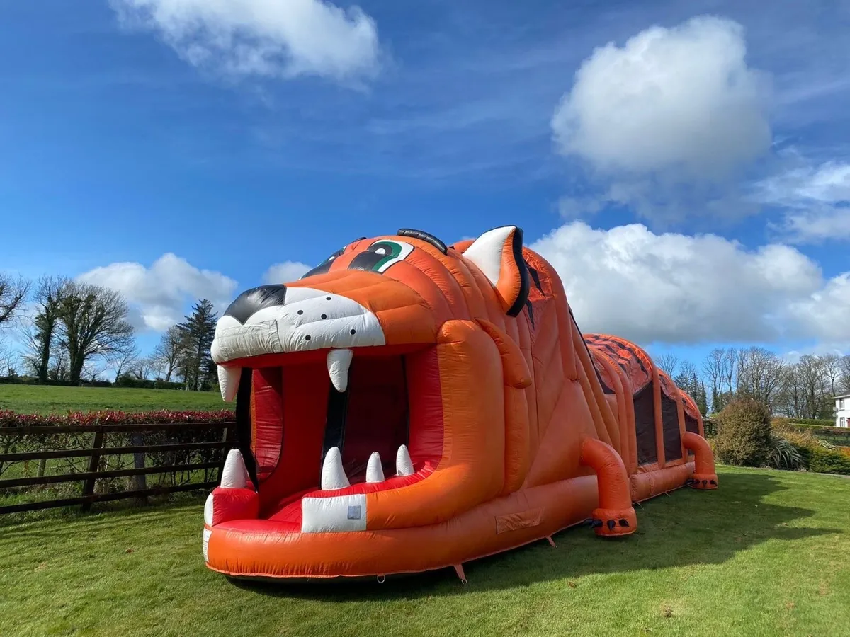 Bouncy castles - Image 4