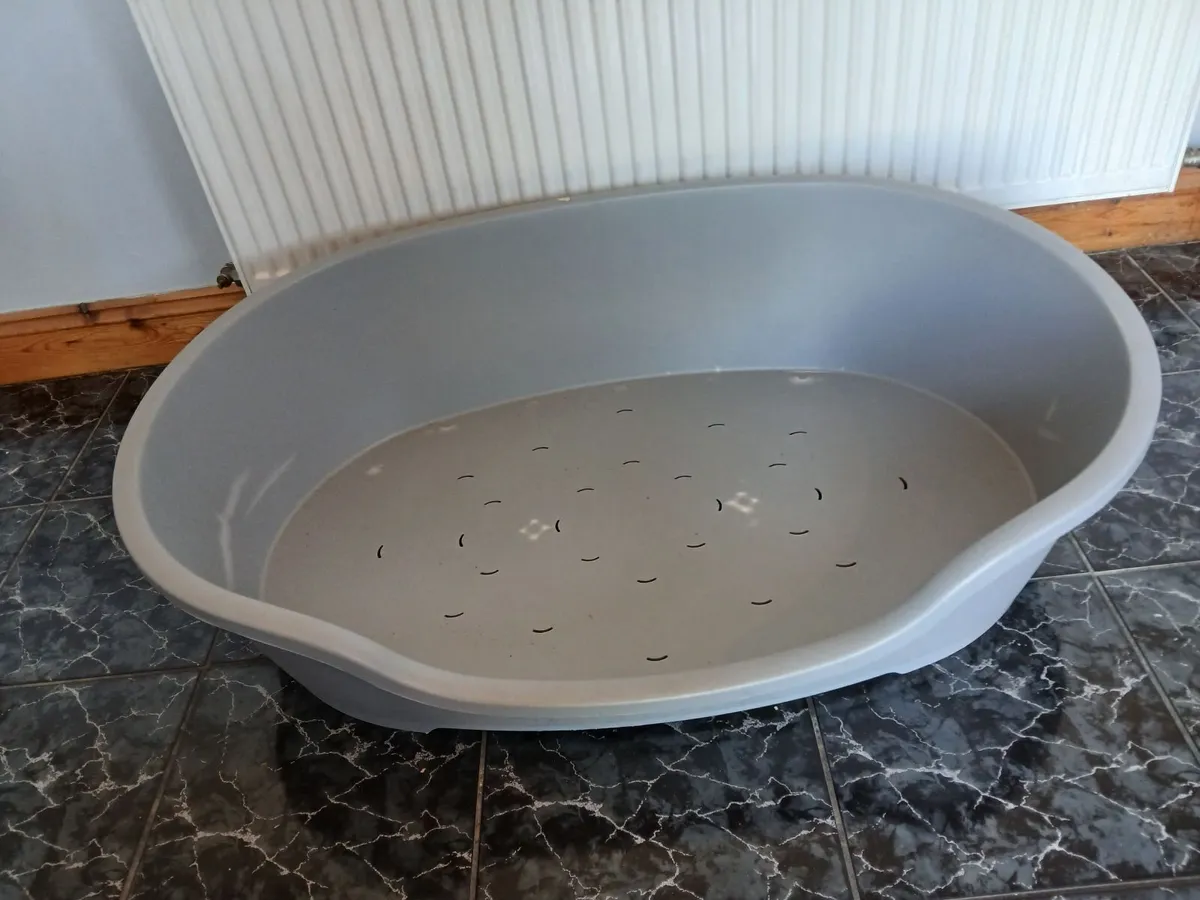 FREE Dog bed and Clothes rail - Image 1