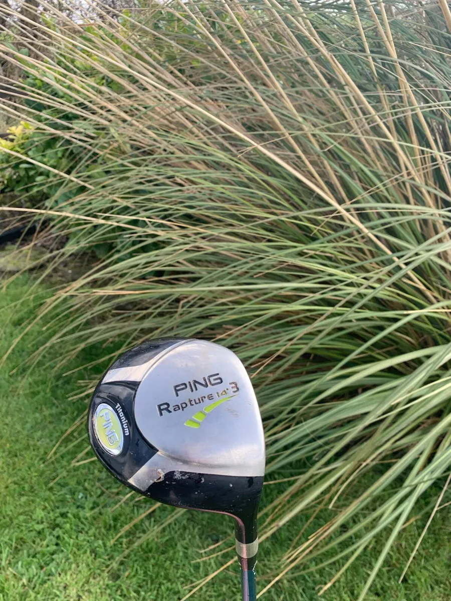 Golf set and trolly - Image 4