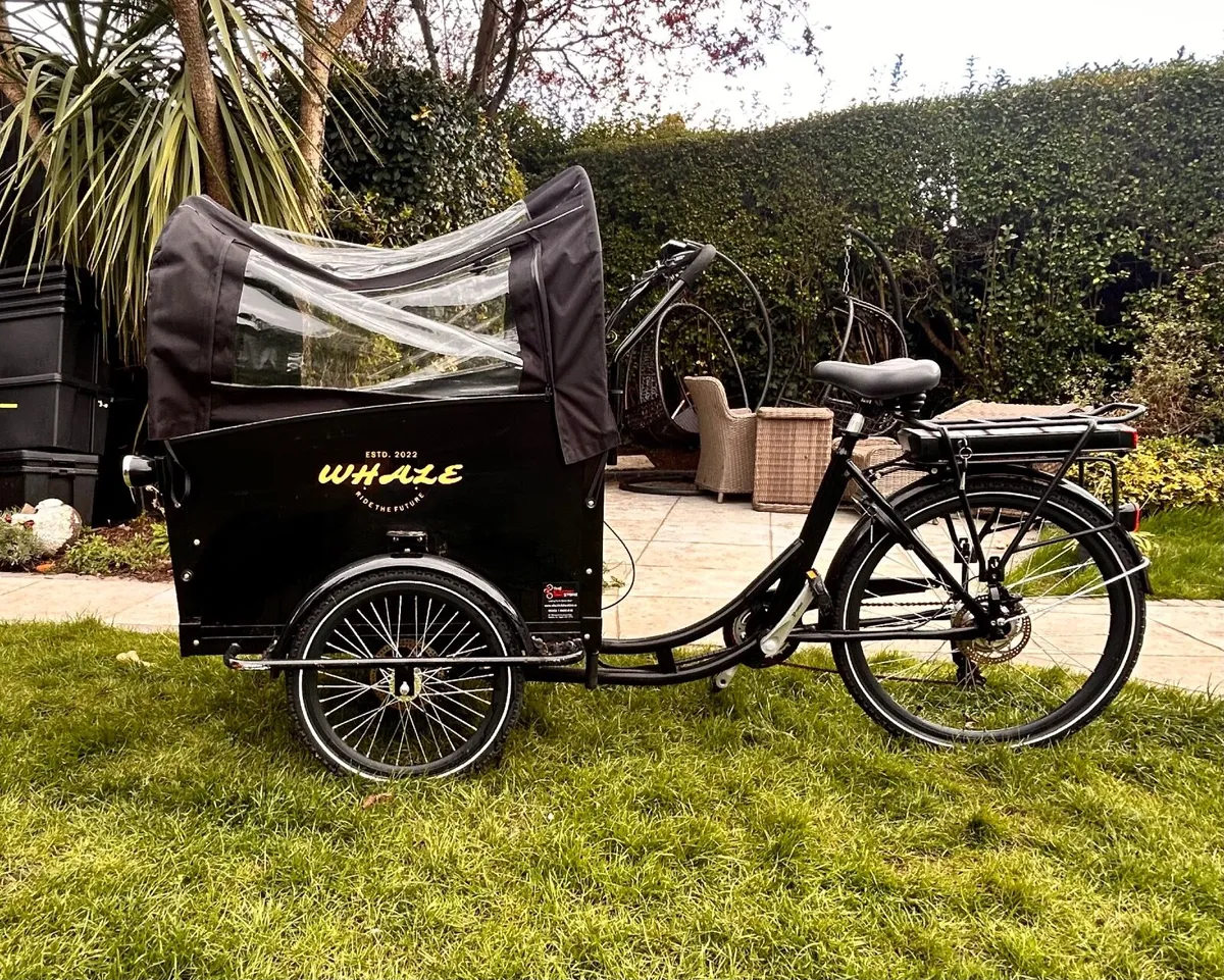 Electric bike - Image 1