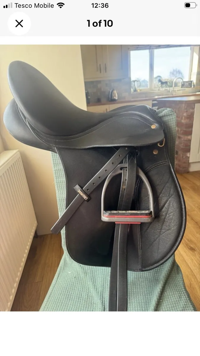 16 inch wintec saddle
