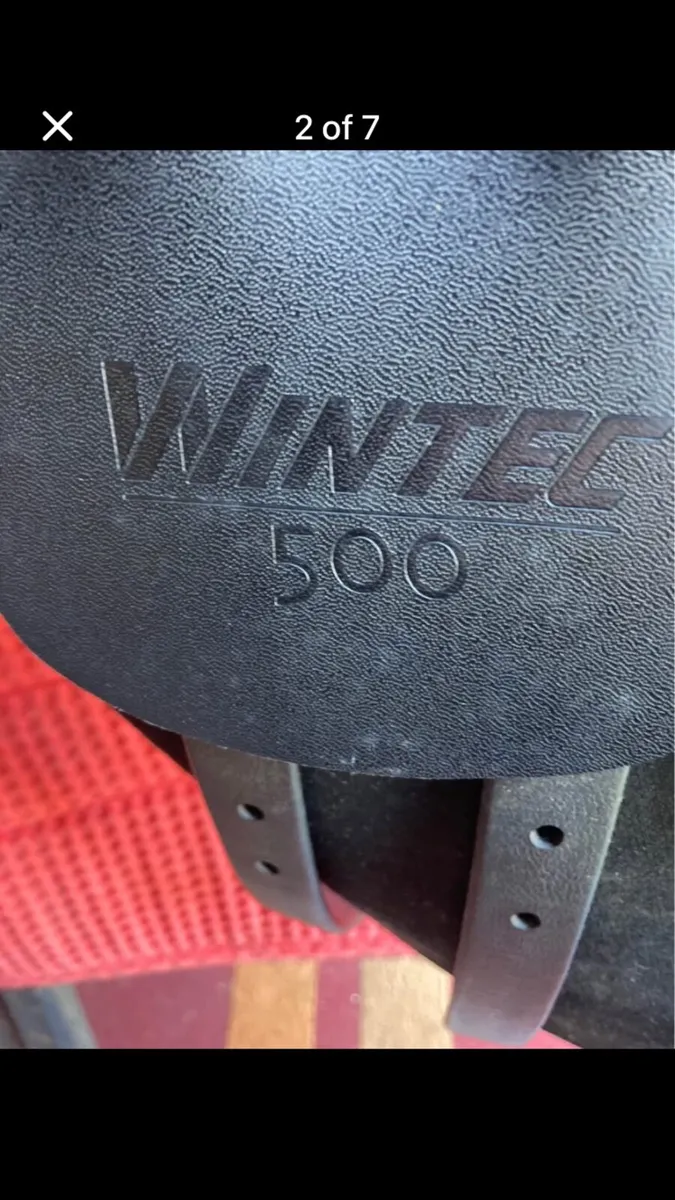 17,5 wintec saddle - Image 2