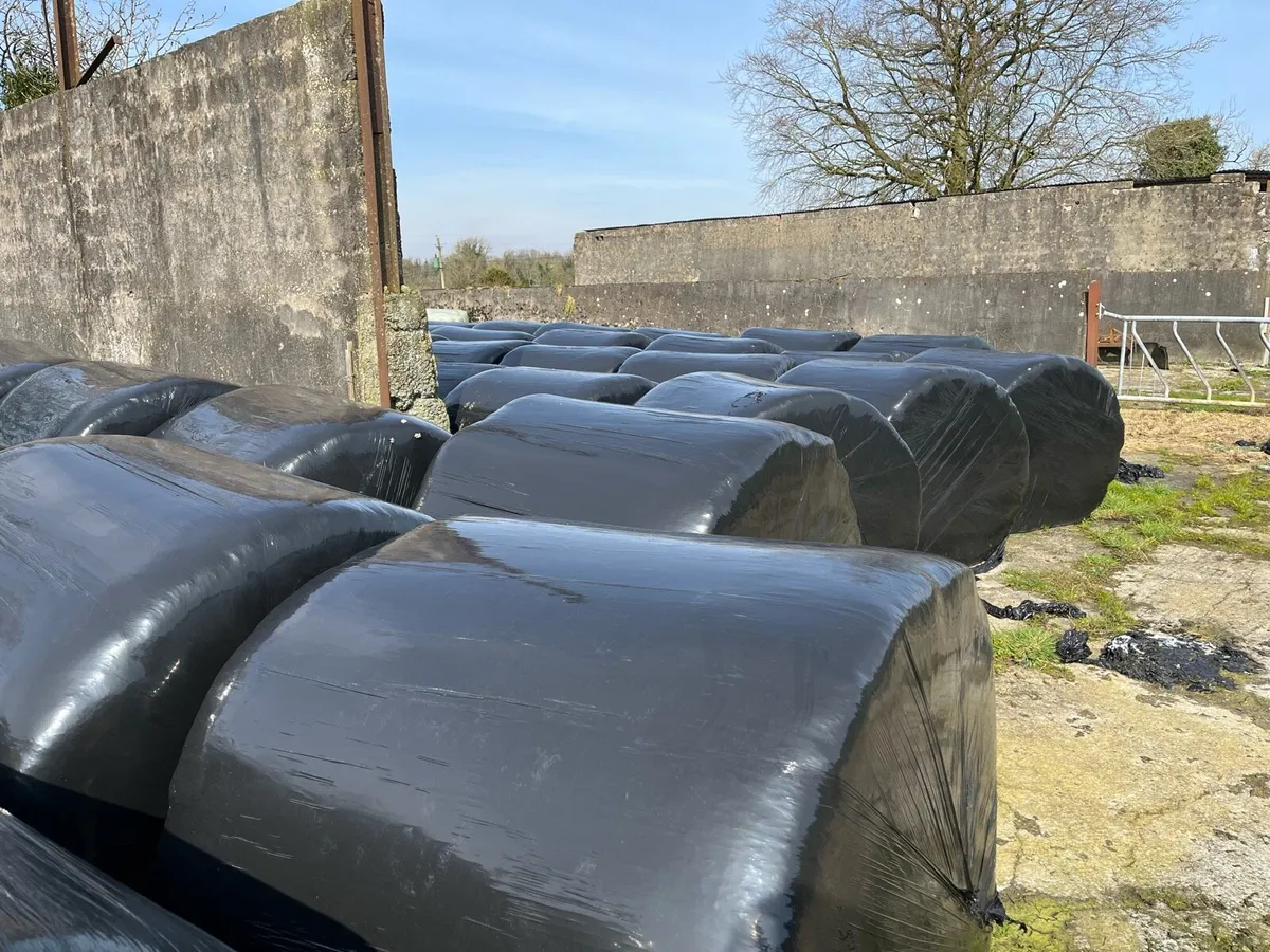 Silage bales - Image 2