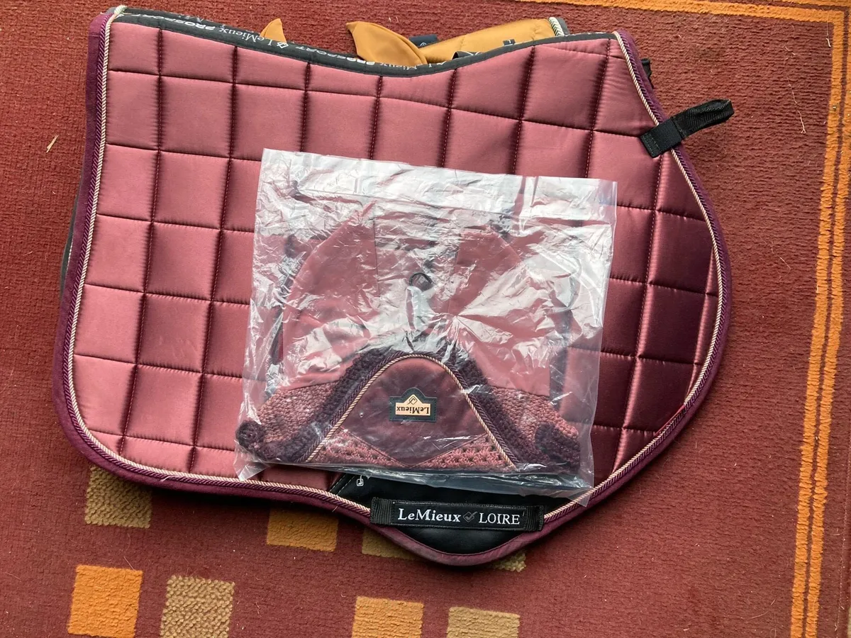 Lemieux sets - Image 2