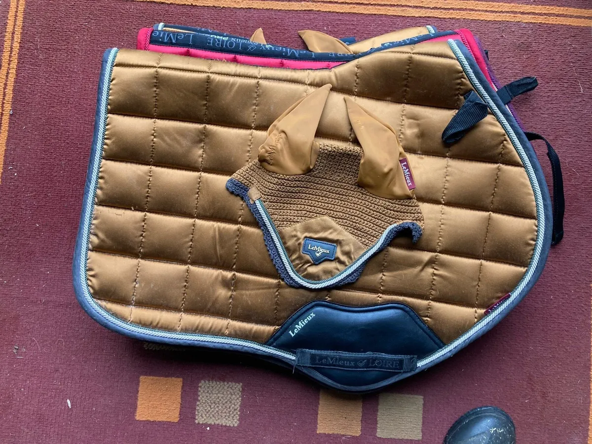 Lemieux sets - Image 3