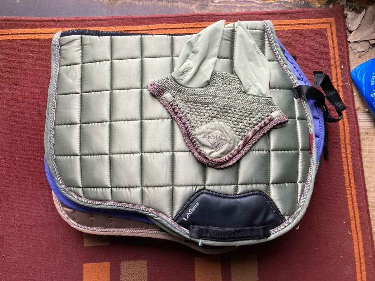 Lemieux sets - Image 4