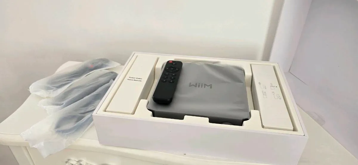 WiiM AMP Pro Amplifier - Image 3