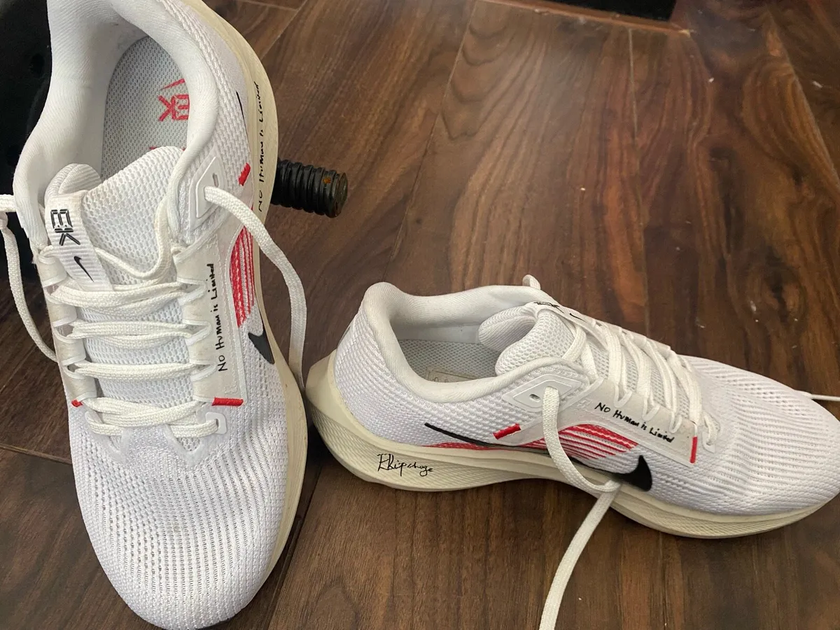 Nike Pegasus 40 - Image 1