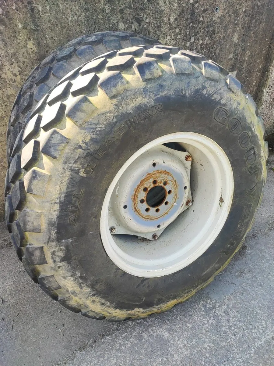 Grass tyres - Image 2