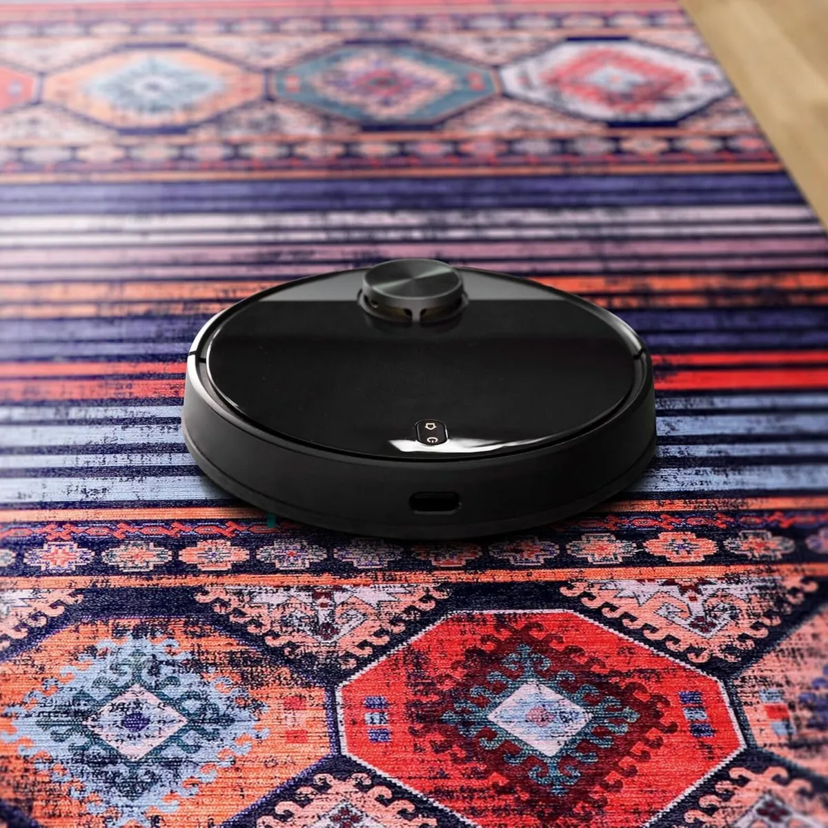 Washable Area Rugs for Living Room Traditional - Image 4