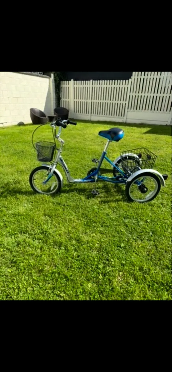 Bicycle / Trike for disability - Image 1