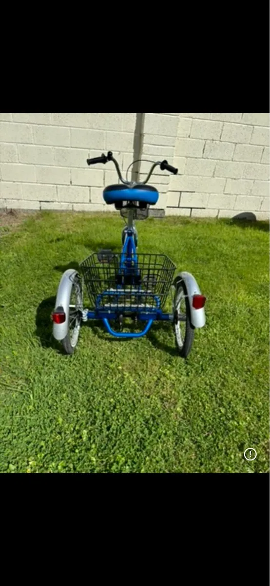 Bicycle / Trike for disability - Image 3