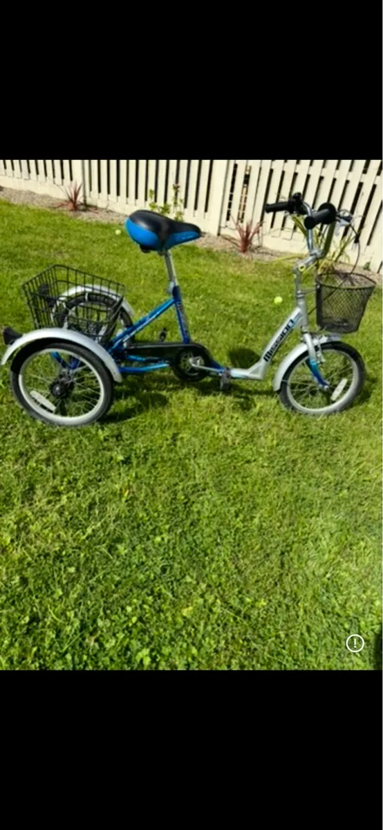 Bicycle / Trike for disability - Image 2