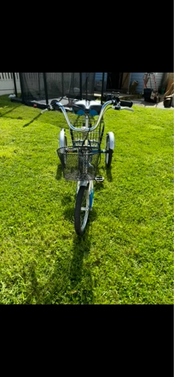 Bicycle / Trike for disability - Image 4