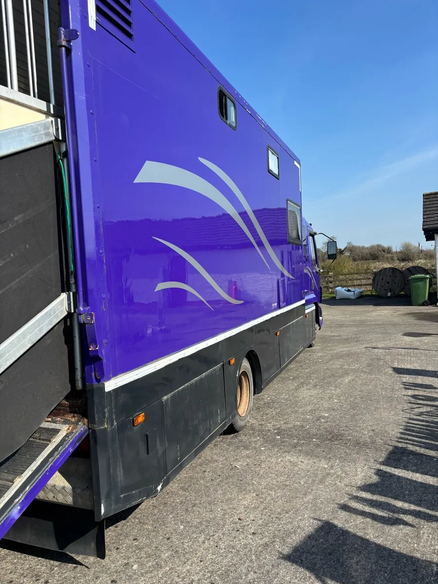 7.5 ton horse lorry - Image 4