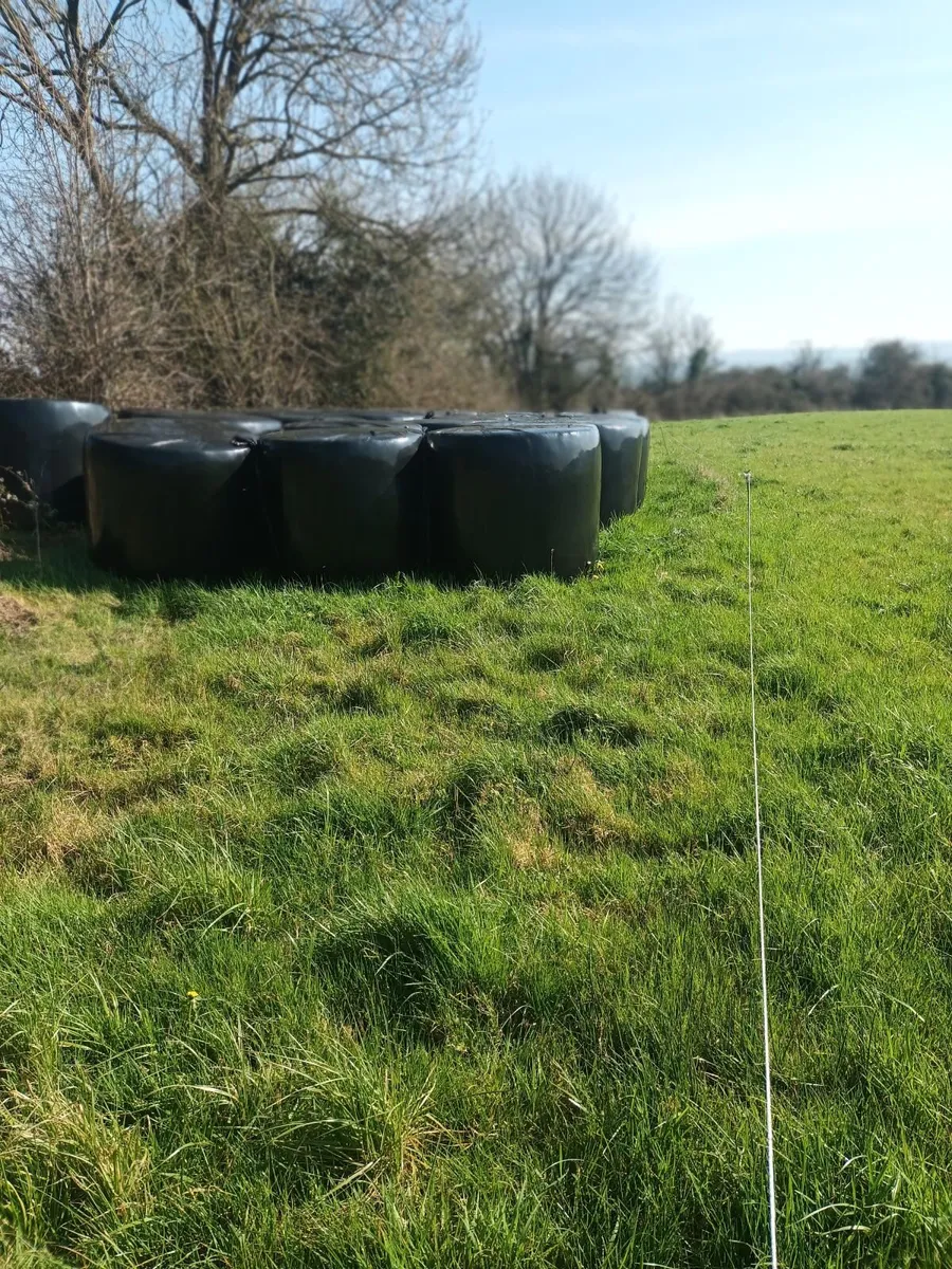 Silage Bales  300 - Image 3