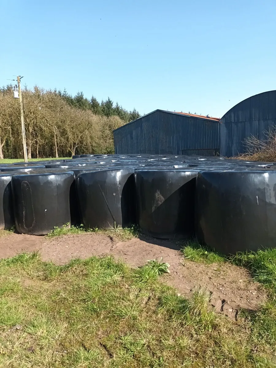 Silage Bales  300 - Image 4