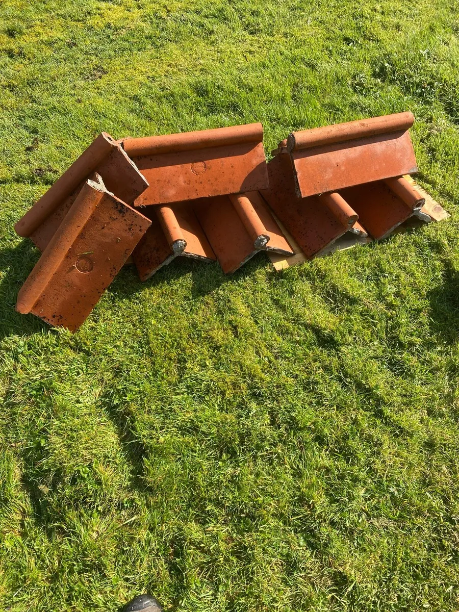 Ridge tiles - Image 1