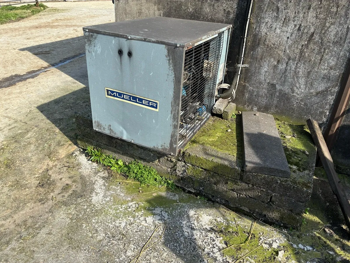 Mueller 8200 milk tank - Image 3