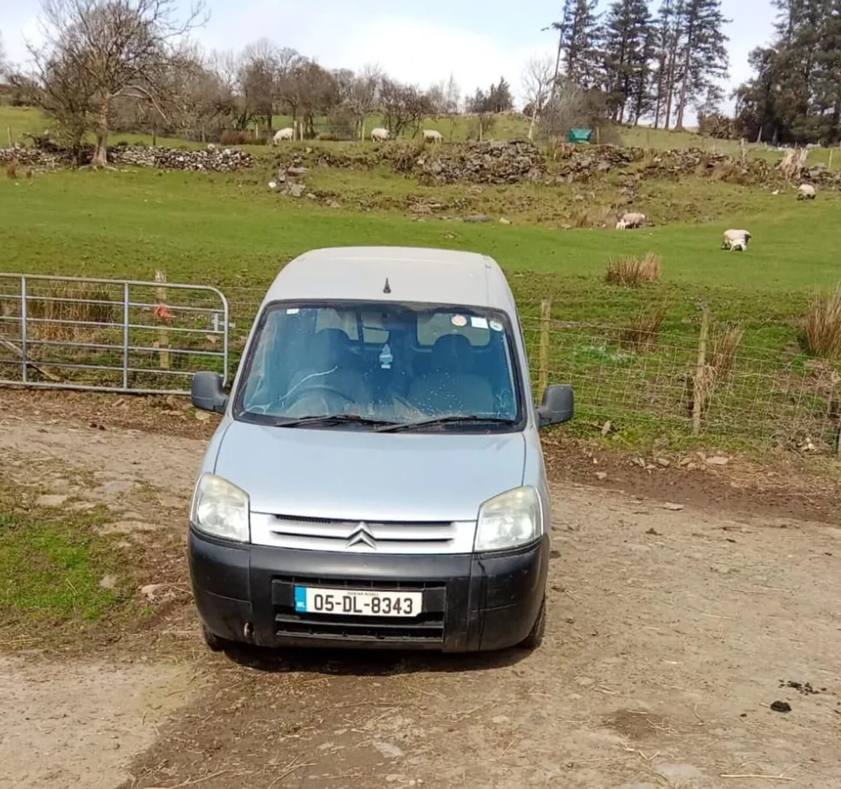 Citroen Berlingo 2005