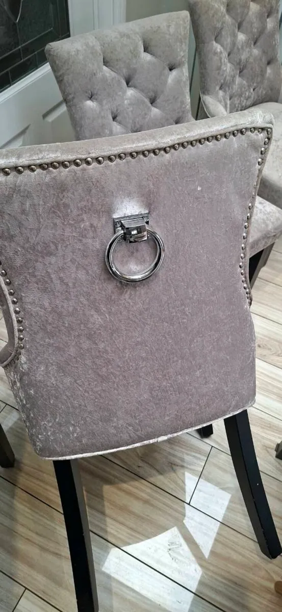 dining room chairs - Image 1