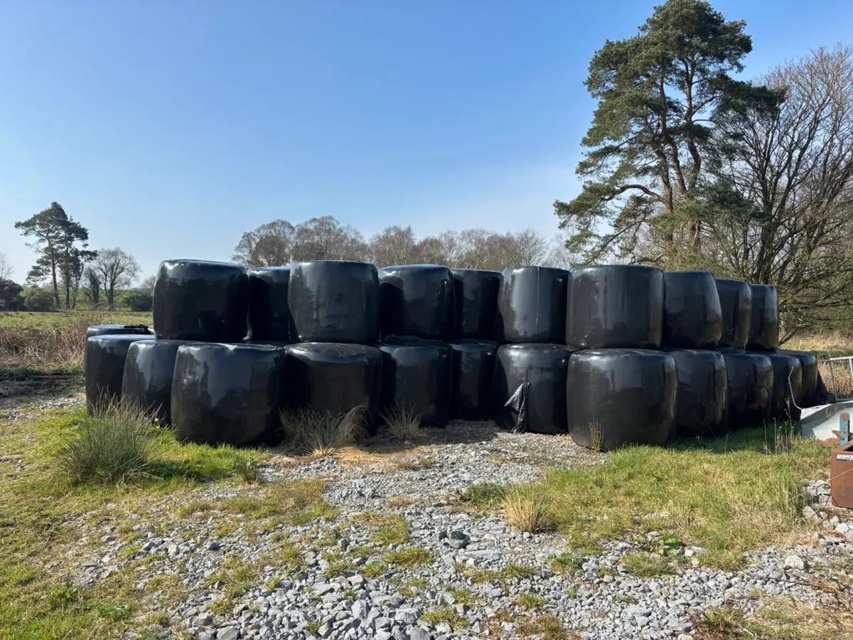 Bales of silage