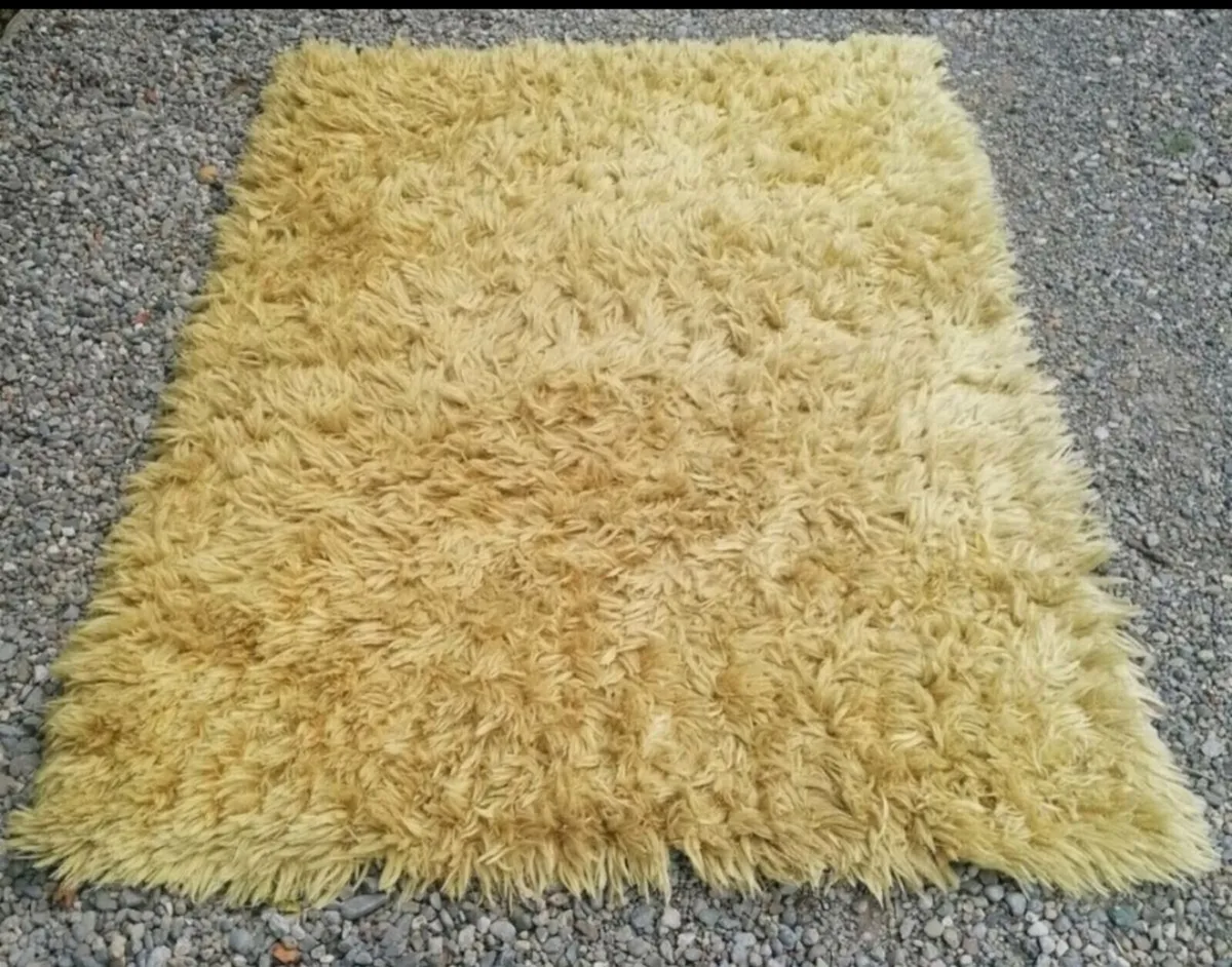 Beautiful Rug - Image 1