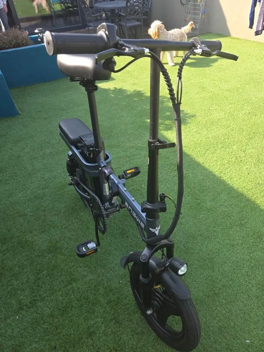 Electric Bikes - Image 2