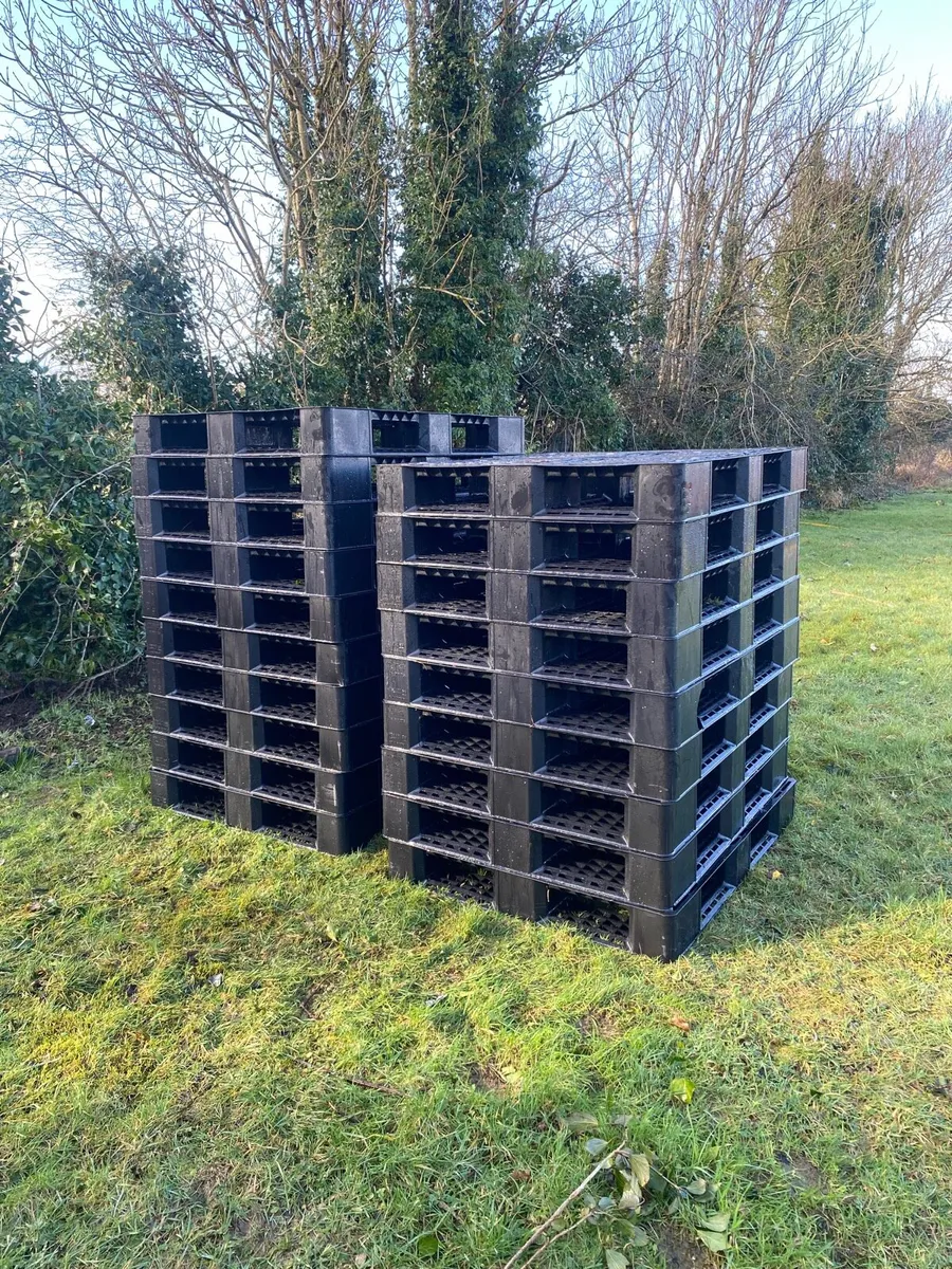 Plastic pallets - Image 1