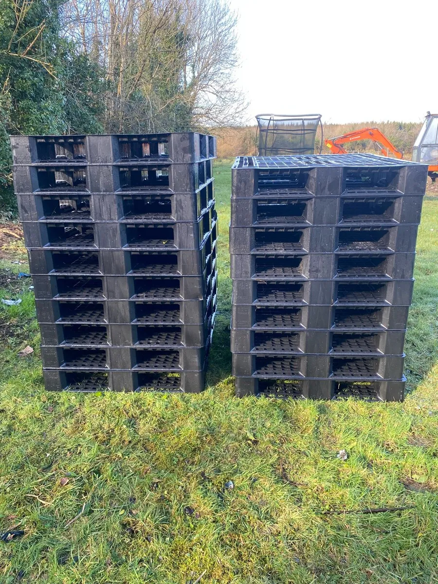 Plastic pallets - Image 2