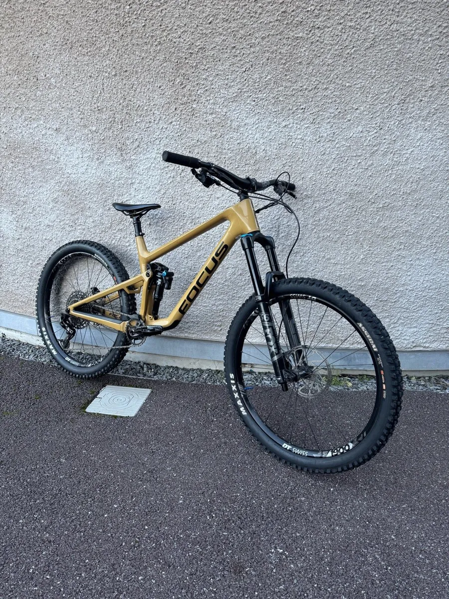 Focus Sam 2023 - Image 1