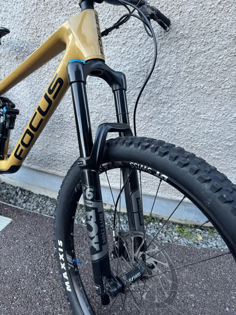 Focus Sam 2023 - Image 2