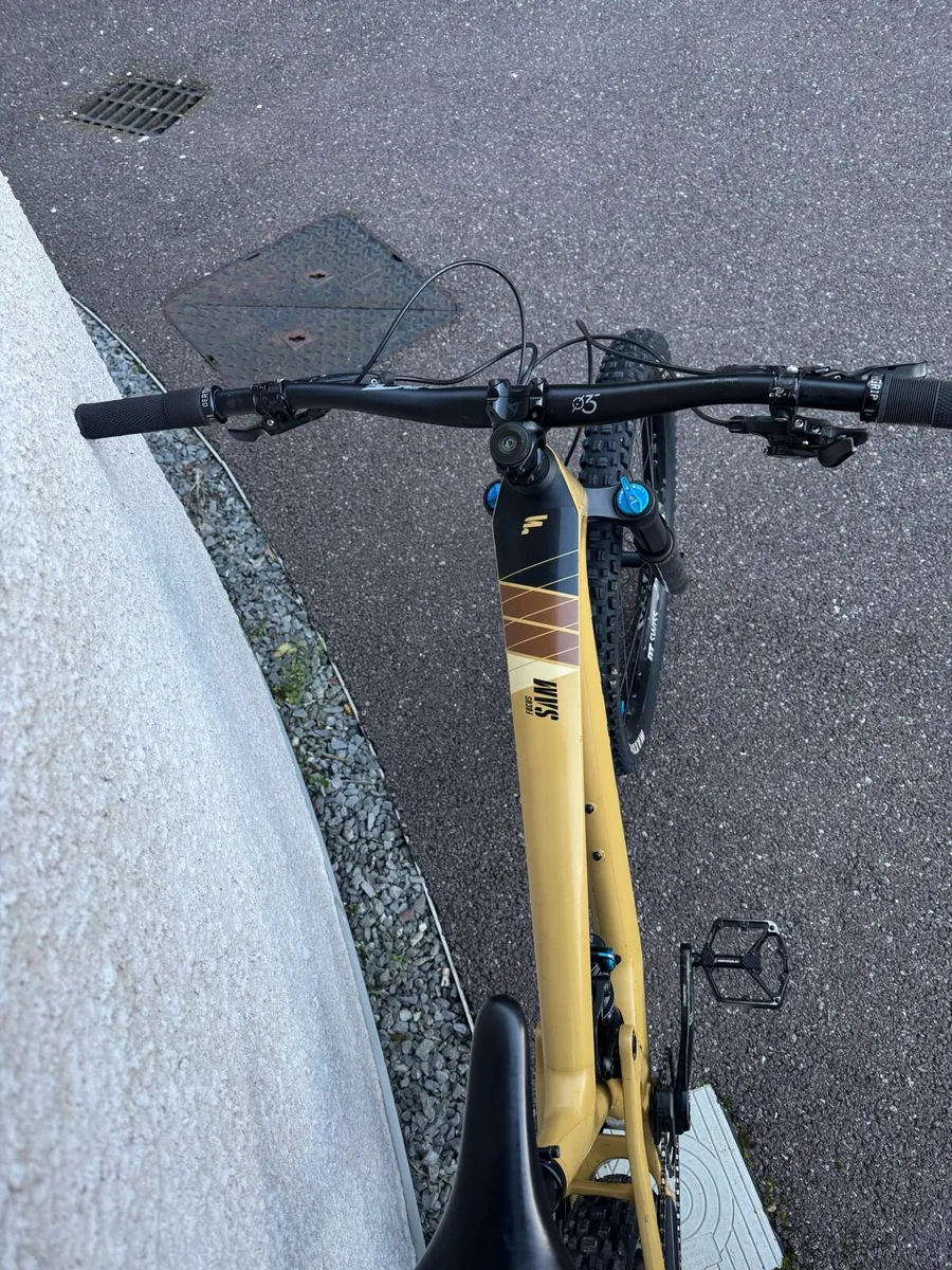 Focus Sam 2023 - Image 3