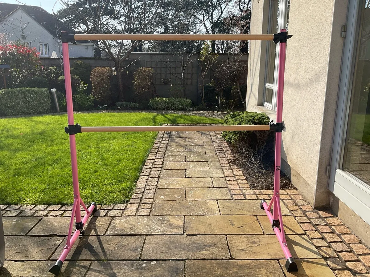 Pink Z ZELUS Double Ballet Barre