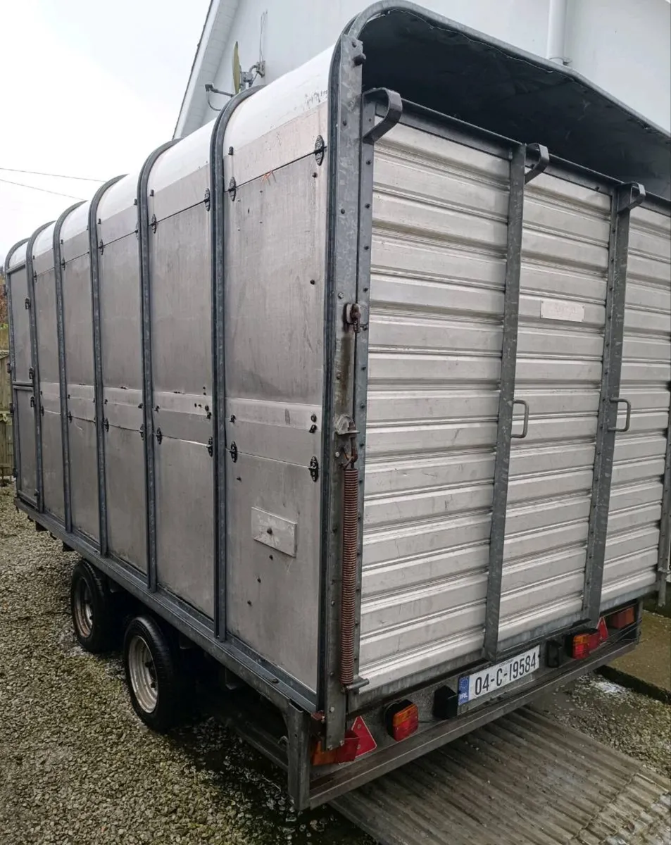 Ifor Williams 12ft Cattle Trailer DP120 - Image 1