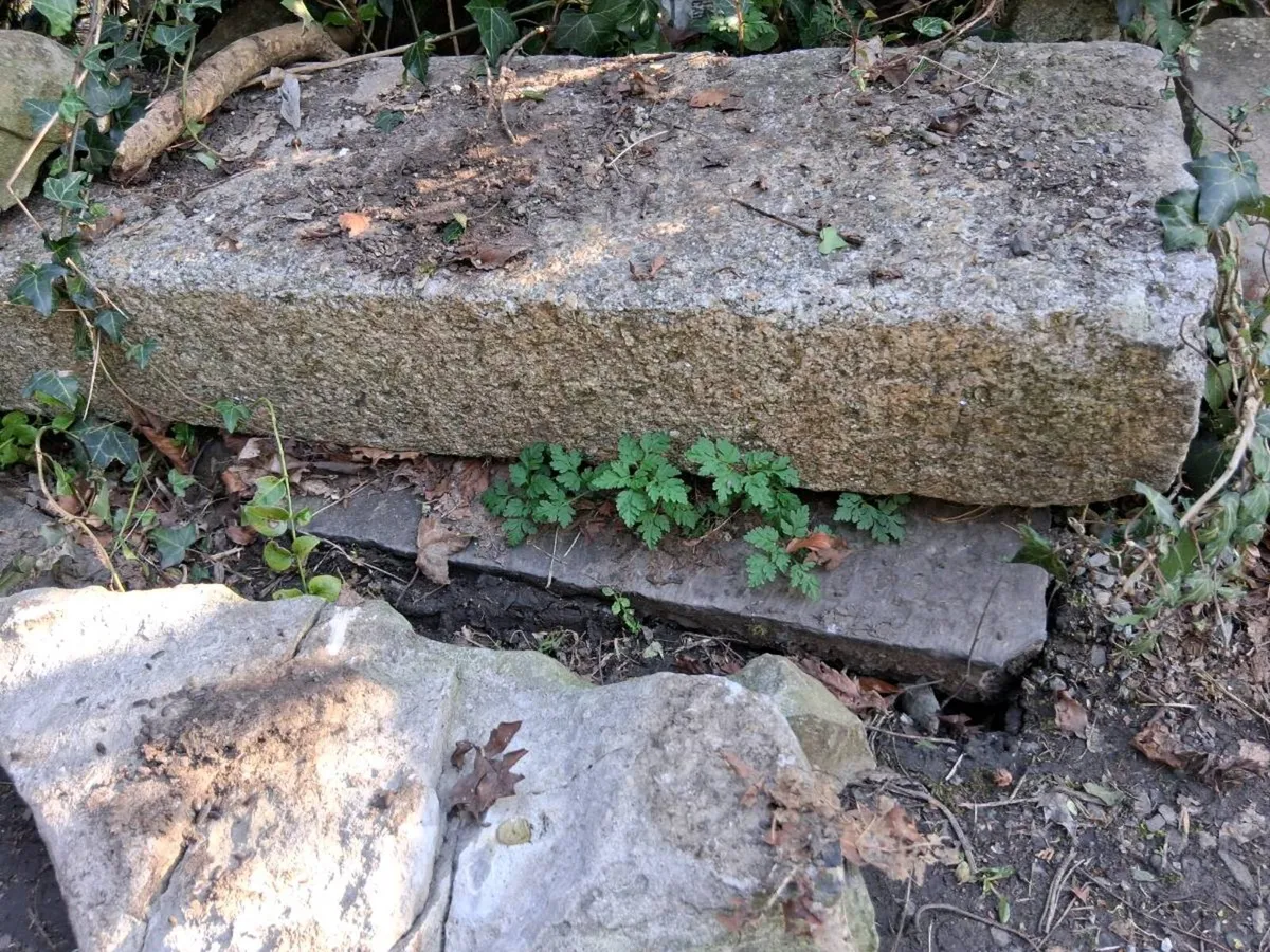 3 Granite House Steps Reclaimed - Image 3