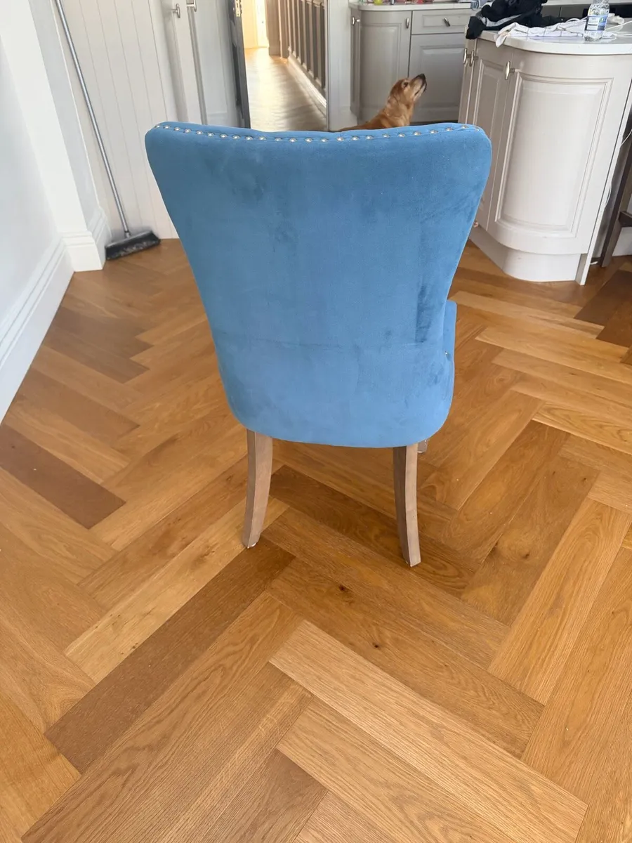 Dining room chairs - Image 4