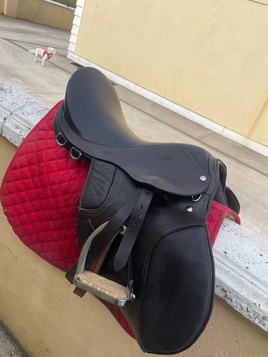 Horse Tack - Image 2