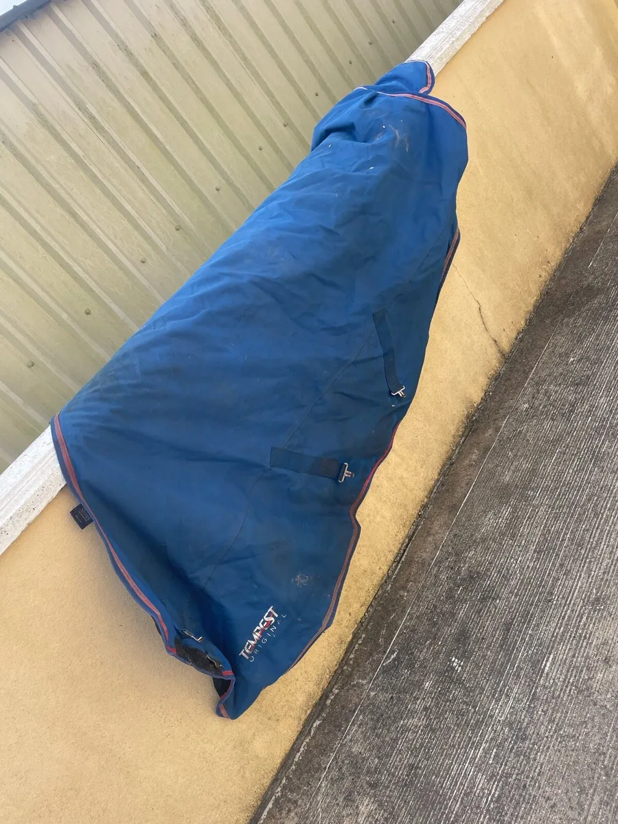 Horse Tack - Image 3