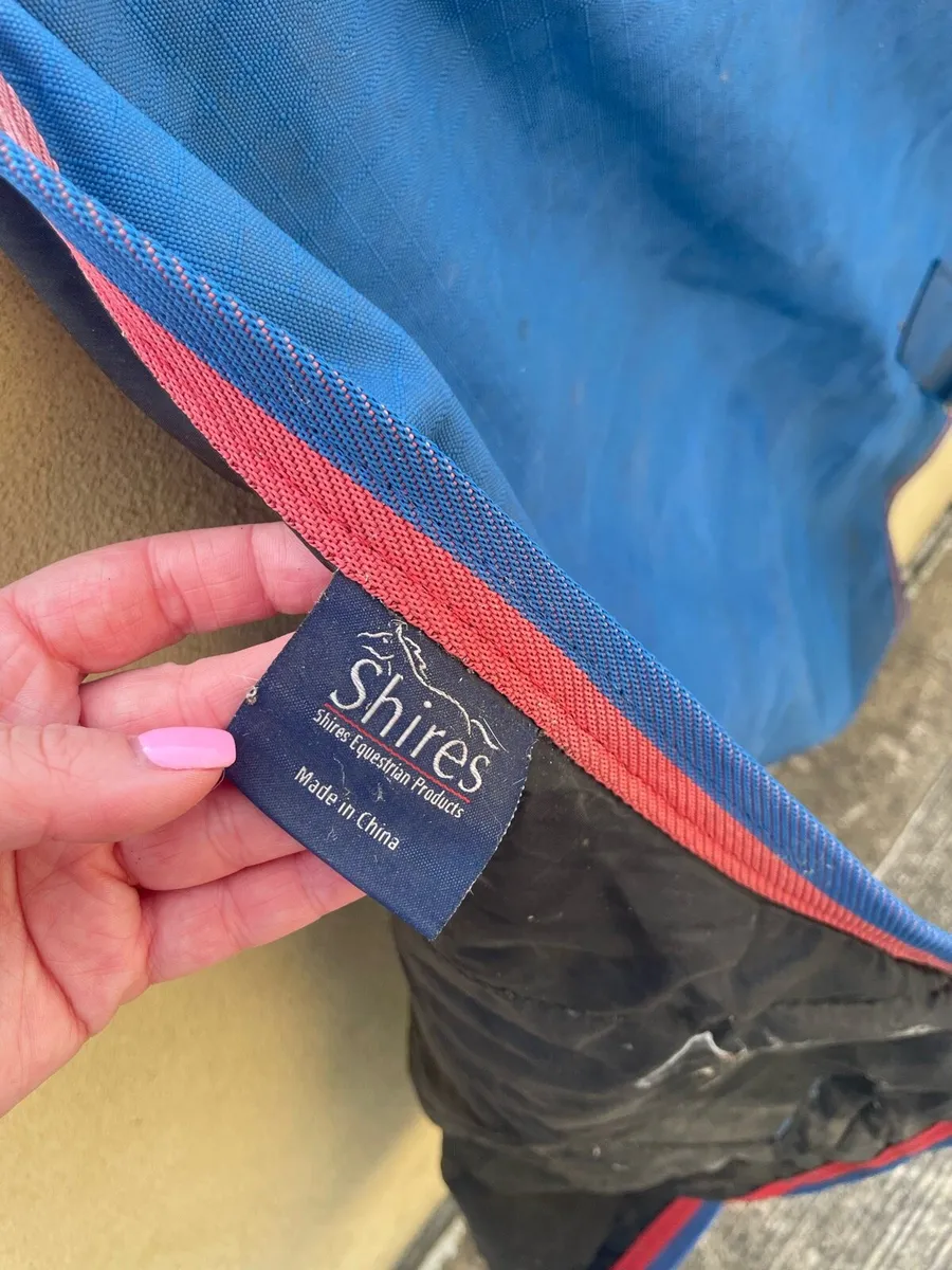 Horse Tack - Image 4