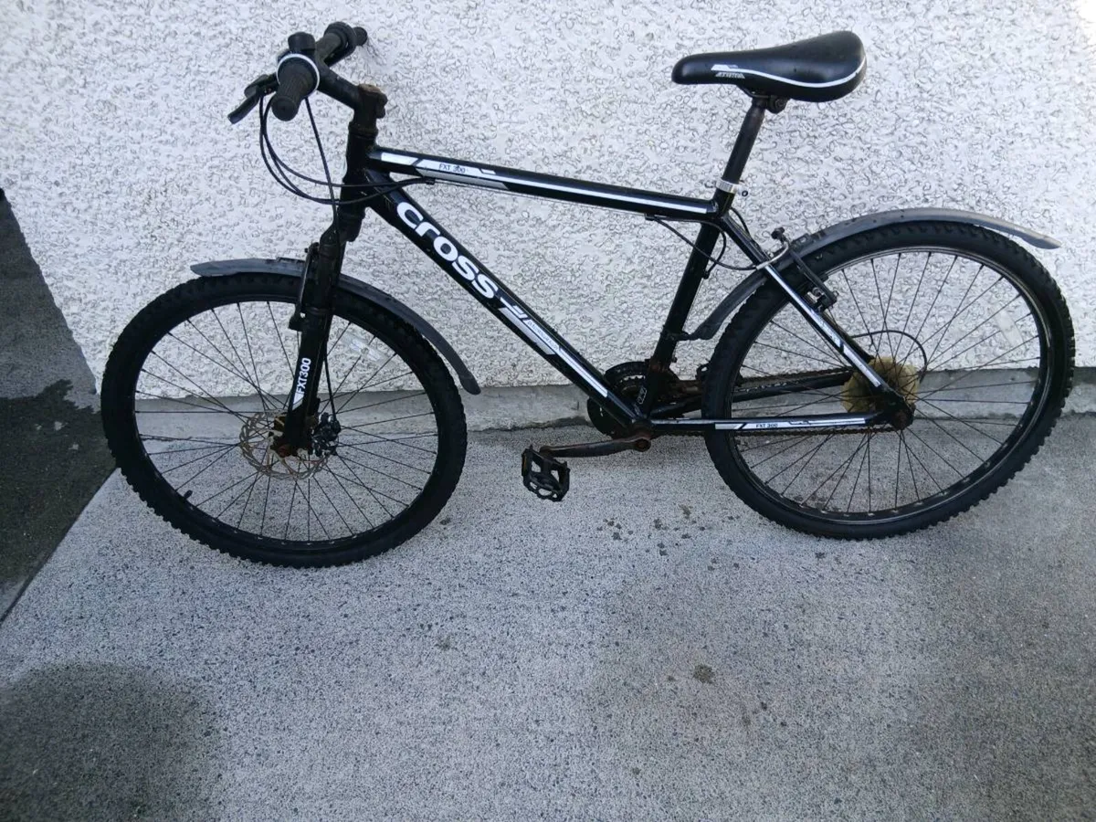 ADULTS BIKE - Image 1