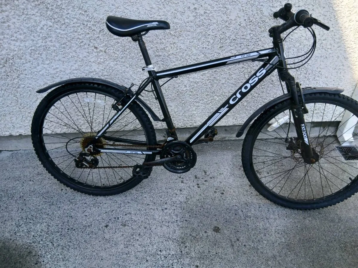 ADULTS BIKE - Image 2