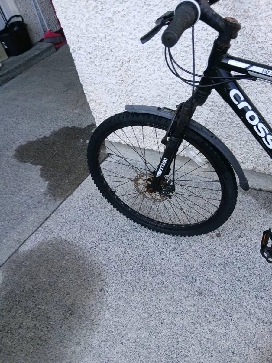 ADULTS BIKE - Image 3