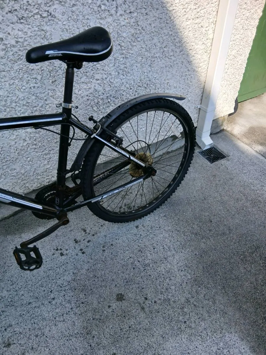 ADULTS BIKE - Image 4