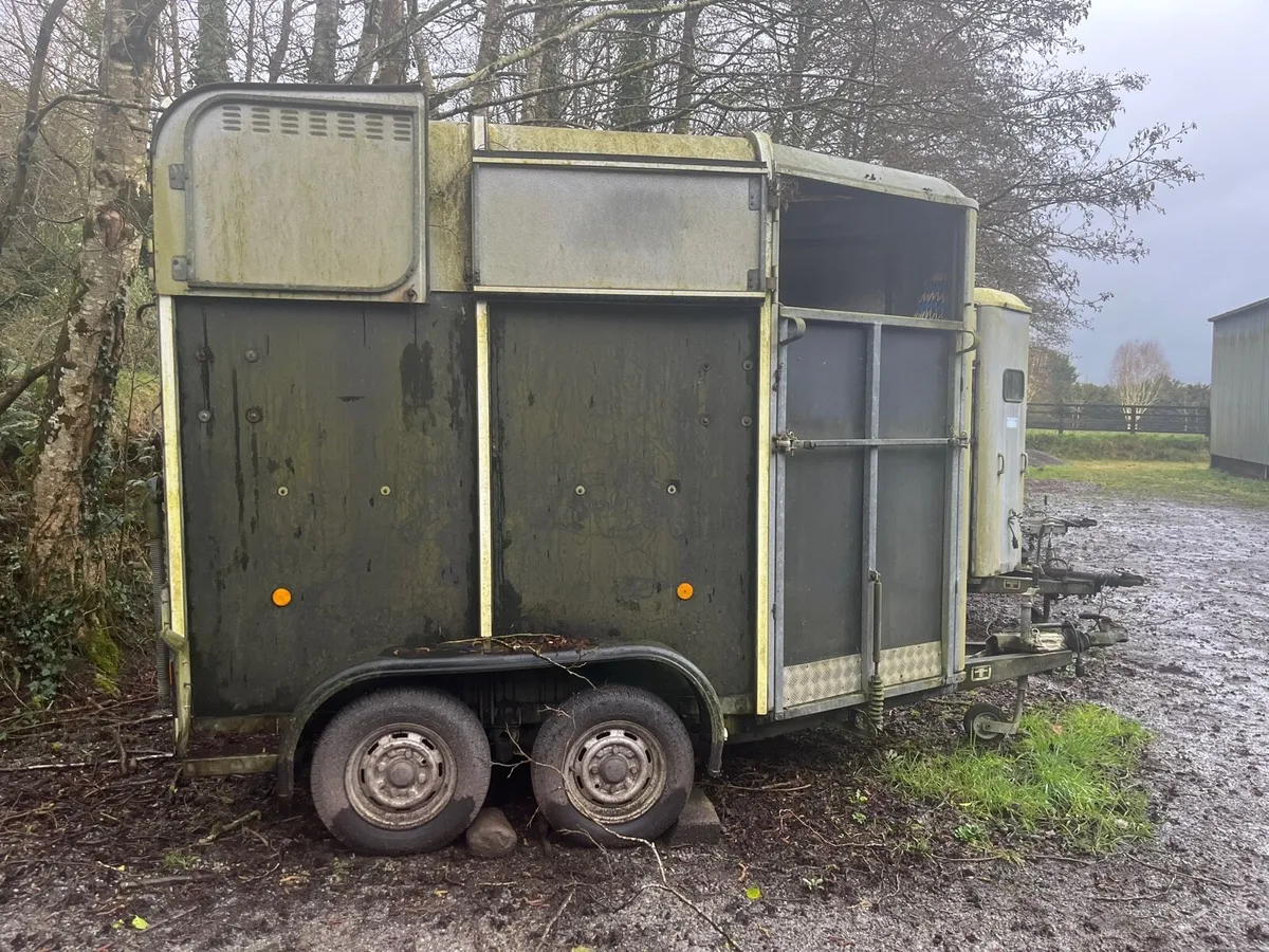 Ifor Williams 505 Horsebox - Image 2