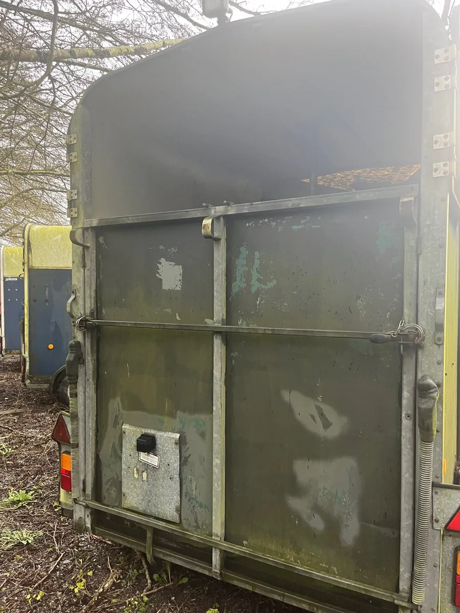 Ifor Williams 505 Horsebox - Image 3
