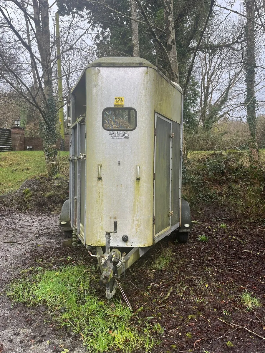 Ifor Williams 505 Horsebox - Image 1
