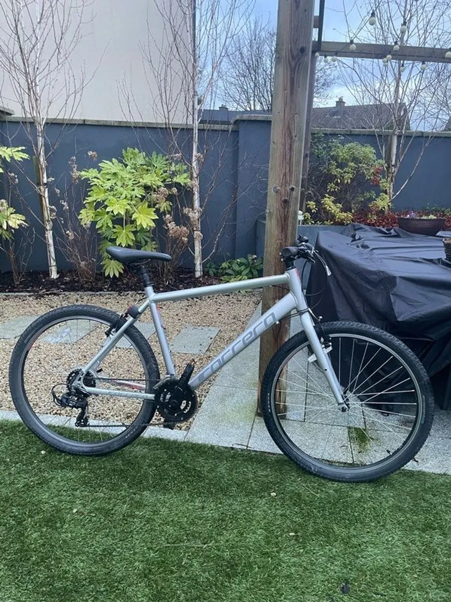 27.5" L Correra Parva - Image 1